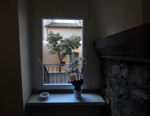 una ventana con vistas a un árbol en un edificio en Casa Vacanze Le Volte Tuscania, en Tuscania