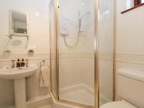 een badkamer met een douche en een wastafel bij Vine Cottage in Abergavenny
