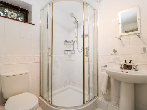 Brook Cottage في أبرجافني: حمام مع دش ومرحاض ومغسلة