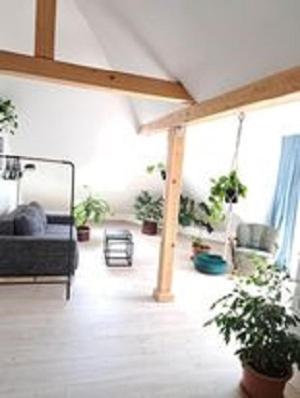 a living room with potted plants and a couch at Apartman Barbara in Lipany