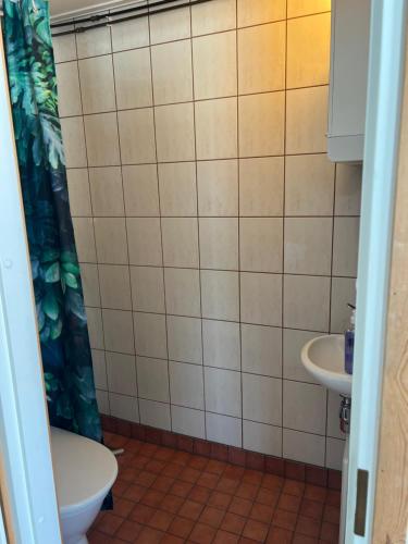 a bathroom with a toilet and a sink at Björkö Stugor 