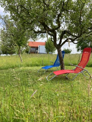 two chairs sitting next to a tree in a field at Franz Josef am Ratschenberg in Eisenberg an der Pinka