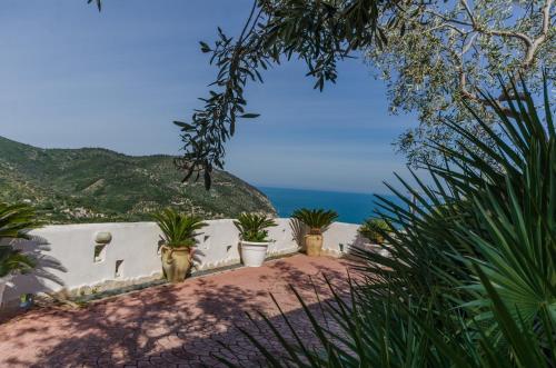 een uitzicht op de oceaan vanuit een huis met potplanten bij Casa Mattinatella in Mattinata