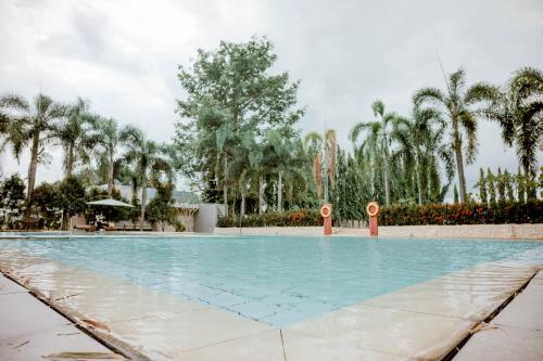 a large swimming pool with palm trees in the background at Estancia De Lorenzo Tarlac in Tarlac