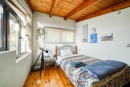 a bedroom with a bed in a room with a wooden ceiling at Magical view, Villa Asproneri, Kamena Vourla in Kamena Vourla