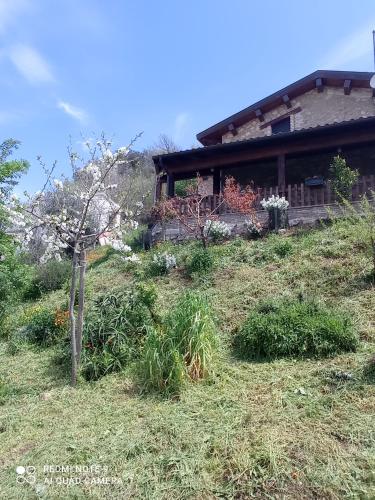 Zahrada ubytování B&B Giallo Siena