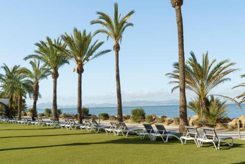 eine Reihe von Stühlen auf einem Rasen mit Palmen in der Unterkunft AluaSun Doblemar in La Manga del Mar Menor