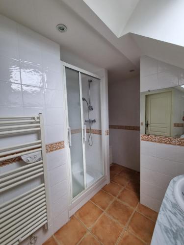 a bathroom with a shower and a sink at Amazonite - 6 à 8 couchages in Archigny