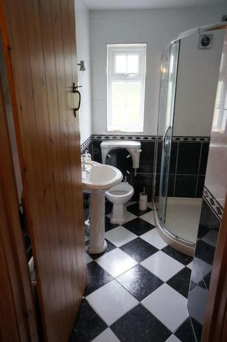 a bathroom with a toilet and a sink and a shower at Rose Cottage in Greencastle