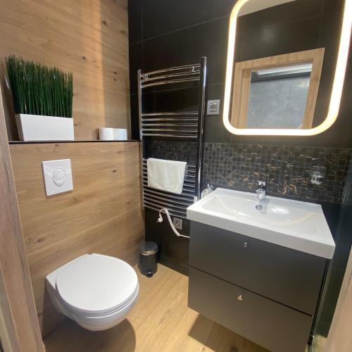 a bathroom with a white toilet and a sink at Airport Almáskert Panzió in Vecsés
