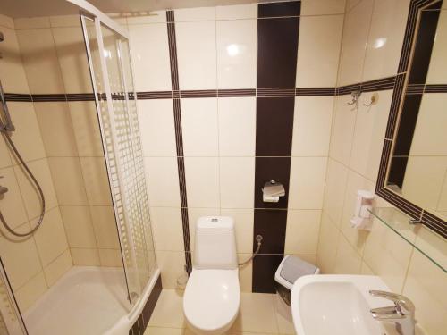 a bathroom with a toilet and a shower and a sink at Willa Hamernik AGROTURYSTYKA in Tylicz