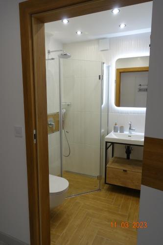 a bathroom with a shower and a toilet and a sink at APARTAMENT PRZY PLAŻY 2 in Rowy