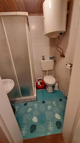 ein kleines Bad mit einer Dusche und einem WC in der Unterkunft HANSEL & GRETEL CABINs in Zgornja Sorica