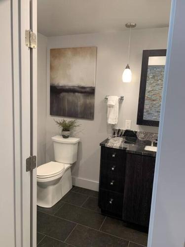 a bathroom with a white toilet and a sink at Most Luxurious1Br in town And steps to the Gondola in Telluride