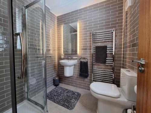 La salle de bains est pourvue de toilettes, d'un lavabo et d'une douche. dans l'établissement Nant Uchaf, à Penmaen-mawr
