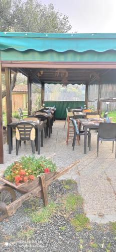 Фотография из галереи Agriturismo Poggio all'Olivo в Фоллонике