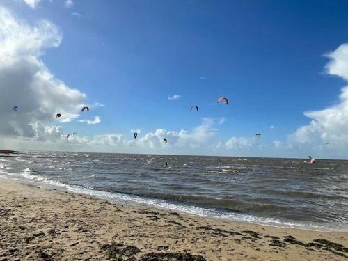 um grupo de papagaios voando no céu sobre o oceano em Haus-am-Waldbad-Whg-12-7 em Cuxhaven