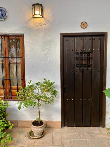 una puerta con una maceta frente a un edificio en Amal Casa de huéspedes, en Córdoba