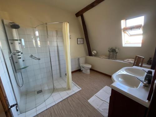 a bathroom with a shower and a sink and a toilet at Domaine de la Carrère in Arthez-de-Béarn