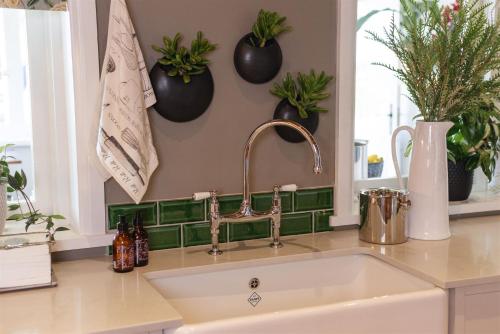 a kitchen sink with plants on the wall at Woodlands Villa in George