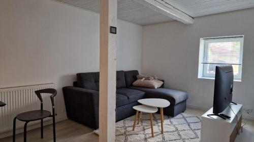 ロービュにあるCity Apartments Rødbyのリビングルーム(青いソファ、テレビ付)