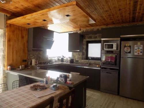 a kitchen with stainless steel appliances and a wooden ceiling at Denize sıfır restore edilmiş ahşap tavan taş villa in Bodrum City