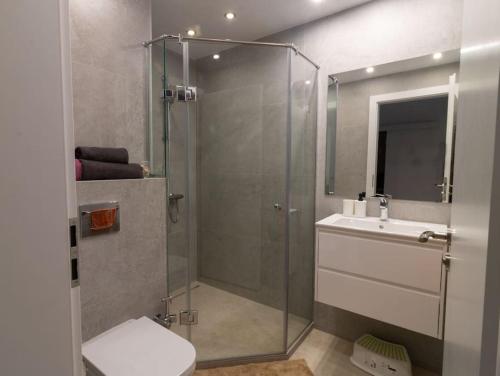 a bathroom with a shower and a toilet and a sink at Georgi's 1 Bedroom Quiet Apartment with Garage in Sofia