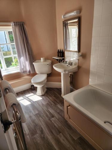 a bathroom with a toilet and a sink and a tub at The New Inn Clovelly in Clovelly