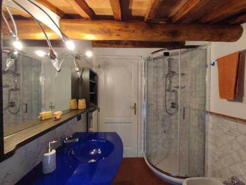 a bathroom with a blue sink and a shower at La terrazza di Elas a Uzzano in Uzzano