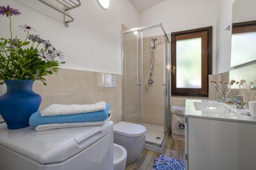 a bathroom with a toilet and a shower and a sink at Villa Aloe in Costa Paradiso