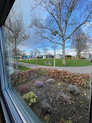 a window view of a garden with flowers at Chalet Zeeweg in Nunspeet