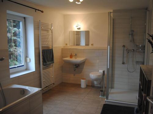 een badkamer met een wastafel, een toilet en een douche bij Ferienhaus Lindenhof 