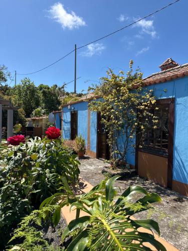 a garden in front of a blue house at Casa Asuncion in Breña Alta