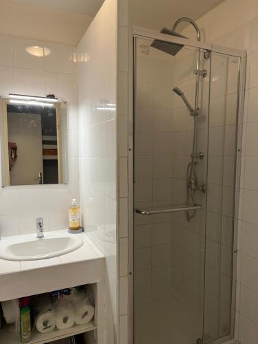 une salle de bain avec lavabo et douche dans l'établissement STUDIO SAINT MANDRIER, à Saint-Mandrier-sur-Mer