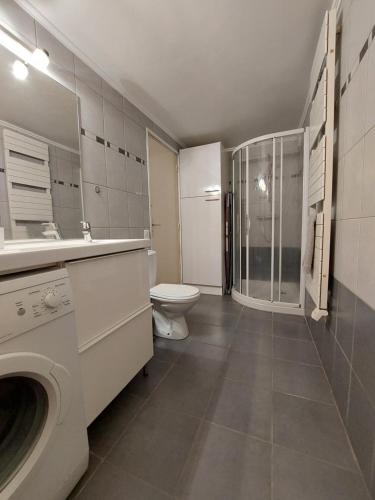 a bathroom with a washing machine and a toilet at GITE LES PINS piscine chauffée jardin privatif climatisation Wifi parking in Peymeinade