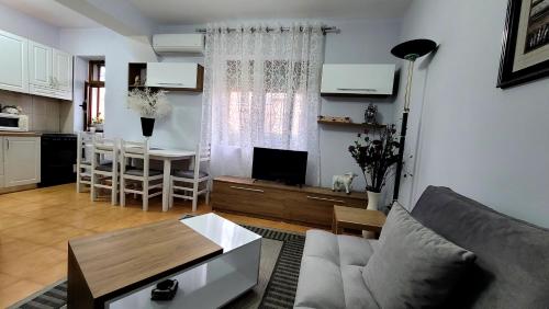 uma sala de estar e cozinha com um sofá e uma mesa em Tuana's Apartment em Shkodër