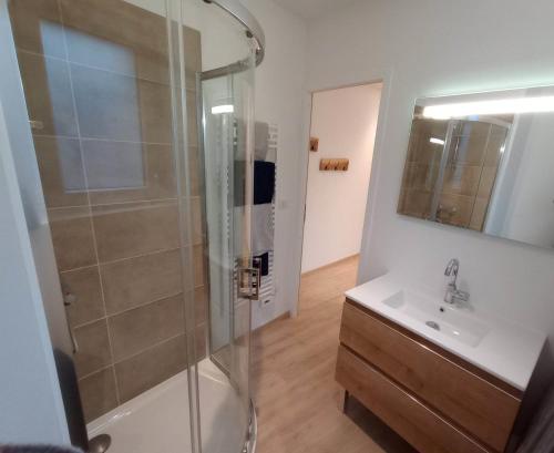 a bathroom with a shower and a sink at Cottage neuf - Forêt de Tronçais in Urçay