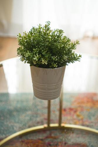 a plant in a pot sitting on a table at Austin David Apartments - Hendon Pad in Hendon