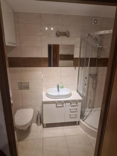 a bathroom with a sink and a toilet and a shower at Sweet Home & Sweet Cats & Fast internet in Wrocław