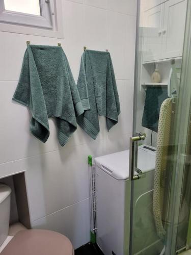 een badkamer met groene handdoeken aan de muur bij Chaleureux 2 pièces proche de Paris & La Défense in Colombes