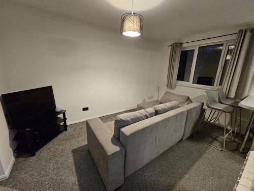 ein Wohnzimmer mit einem Sofa und einem TV in der Unterkunft Entire Spacious Modern One Bedroom House in Swindon