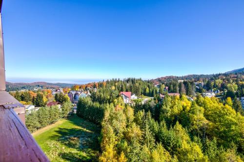 Alpin Resort Hotel — Mountain view