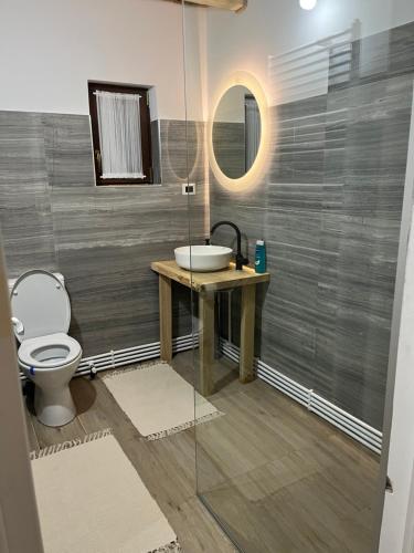La salle de bains est pourvue d'un lavabo, de toilettes et d'un miroir. dans l'établissement Căsuța lui Gogu, à Borsa