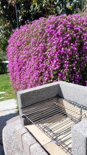 Zahrada ubytování Il Giardino di Gio'