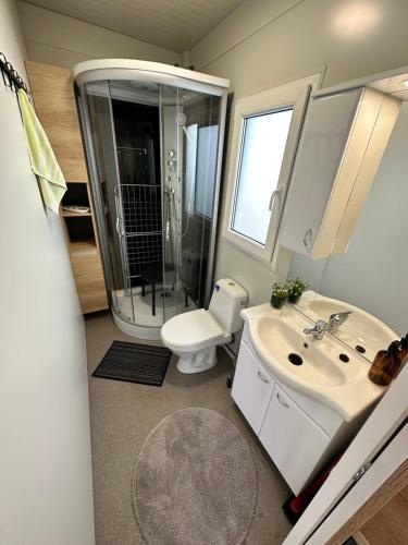 uma casa de banho com um chuveiro, um WC e um lavatório. em BB HOUSE KOLPA RIVERSIDE em Metlika