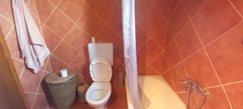 a small bathroom with a toilet and a sink at Seaview Miloi in Eretria