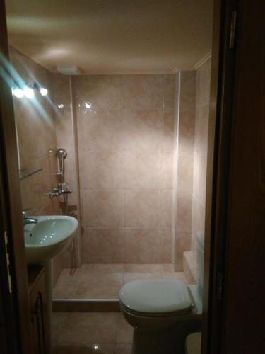 a bathroom with a shower and a toilet and a sink at Studio Kalogridis in Kouniádhoi