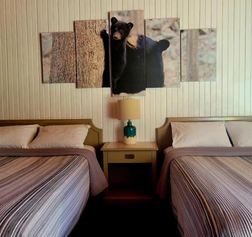 a room with two beds and a bear on the wall at High Falls Motel & Cabins in Wawa