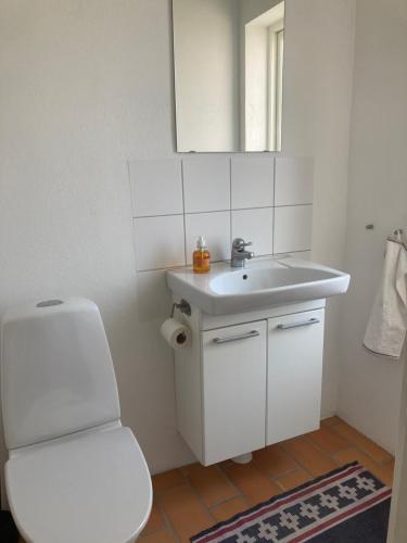 a bathroom with a white sink and a toilet at Förtjusande gästsvit med öppen spis in Höör
