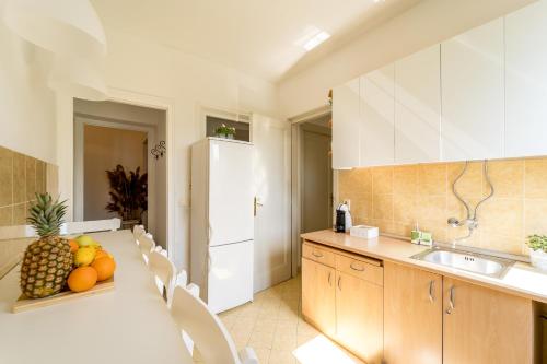 Kuhinja oz. manjša kuhinja v nastanitvi Apartment Kneza Milosa